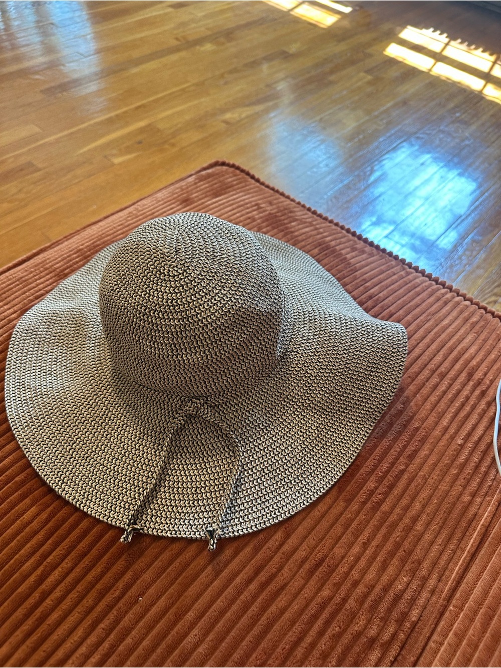 Never worn: Ann Taylor Neutral Braided Wide-Brim Sun Hat